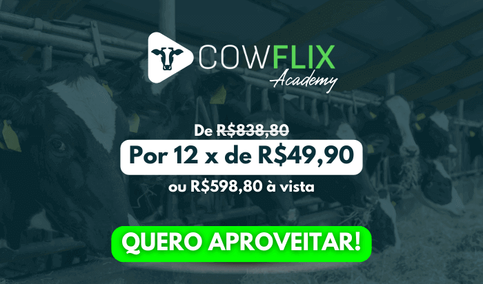adas